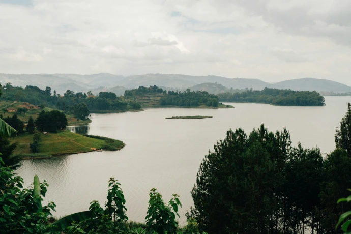 green tree and Lake Bunyonyi